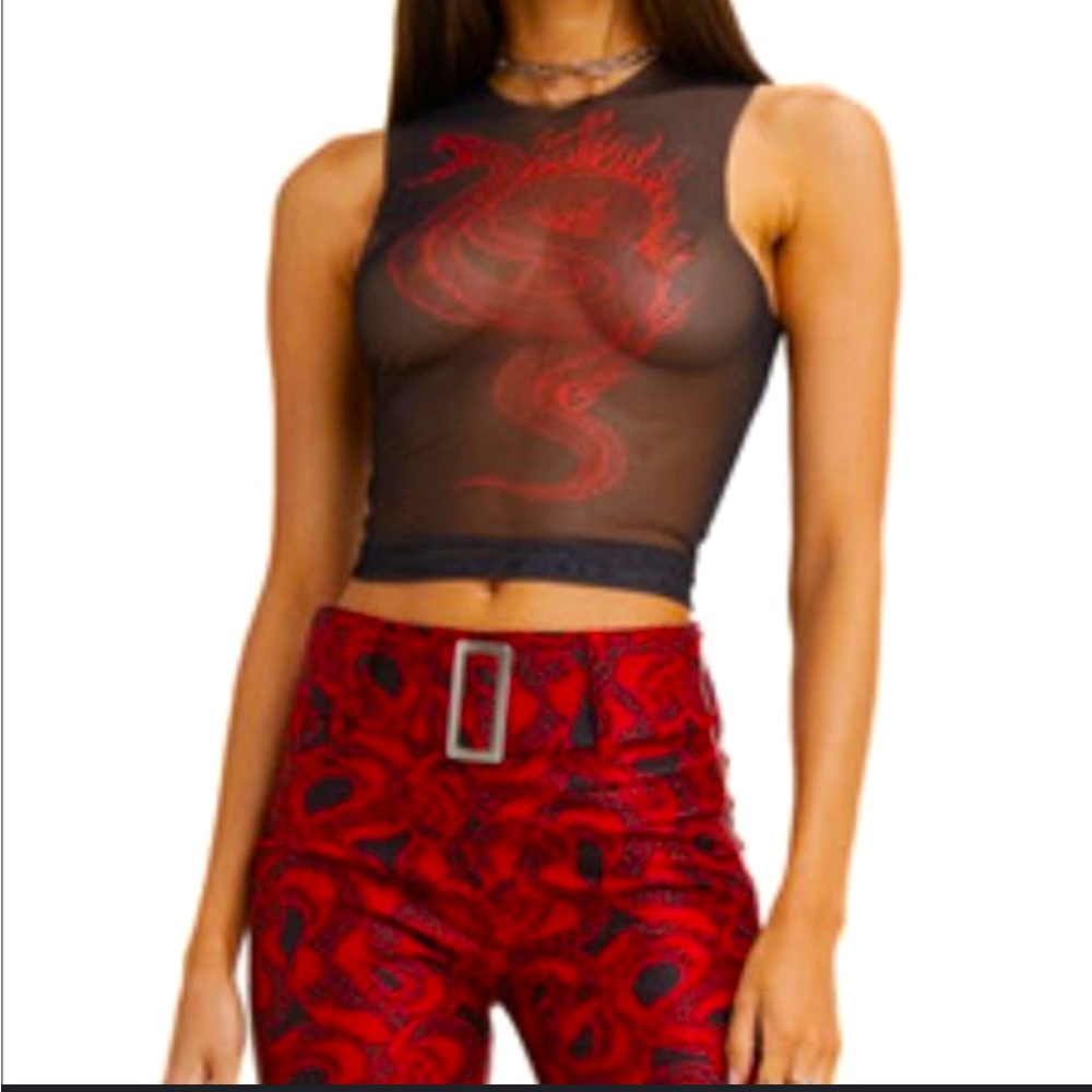 NWOT! Size XXS! Sold out I Am Gia Dragon mesh top!